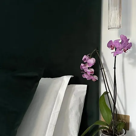 Apartment Przytulny Zoliborz Styl I Spokoj Blisko Centrum Warsaw