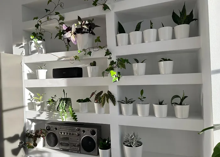 Apartment Przytulny Zoliborz Styl I Spokoj Blisko Centrum *