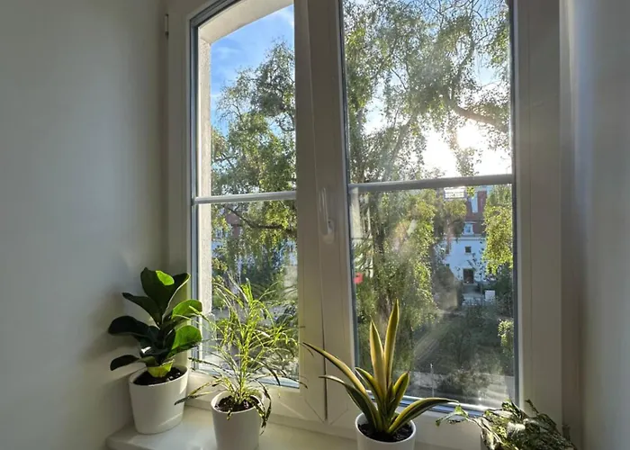 Przytulny Zoliborz Styl I Spokoj Blisko Centrum Warsaw