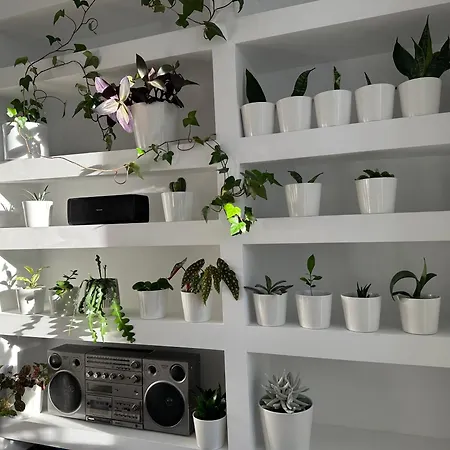 Apartmán Przytulny Zoliborz Styl I Spokoj Blisko Centrum *